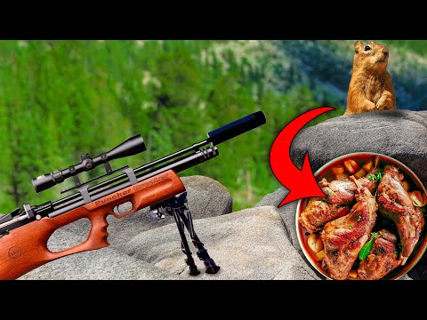 Air Rifle Hunting Ground Squirrels Catch, Clean, & Cook