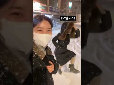 아이콘