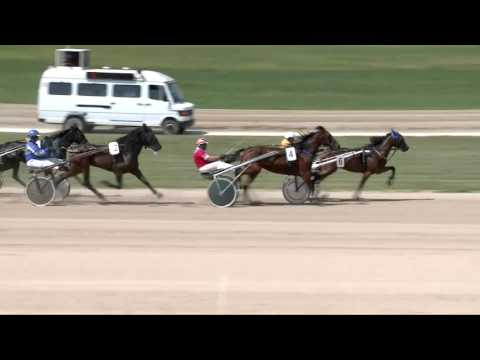 2017. 05. 20. 1. futam - ZUBOLY DÍJ