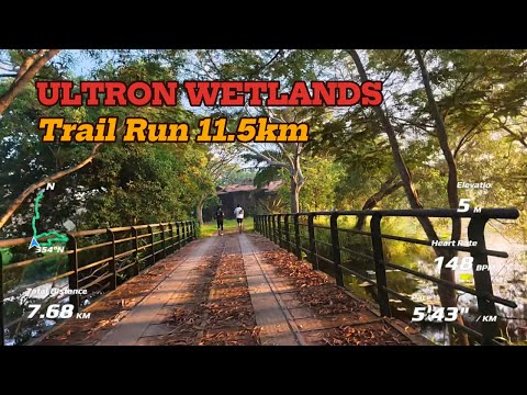 ULTRON WETLANDS Trail Run 11.5km - Gamuda Cove!