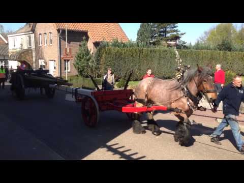 Brigida den halen 2015