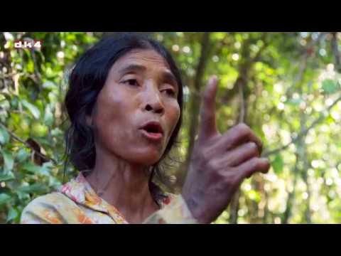 Kampen om Cambodias regnskov