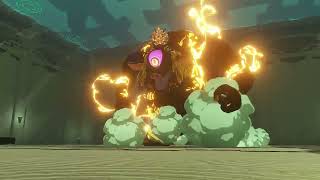 ☆49 ゼルダ無双 封印戦記をやさしく実況プレイ！