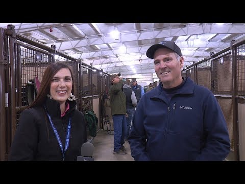 2018 NRHA Futurity – Stephen Archer – NAAC Open, NAAC Int Open and Int Open Co Champion