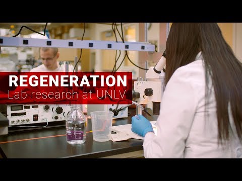 Organ Regeneration Research