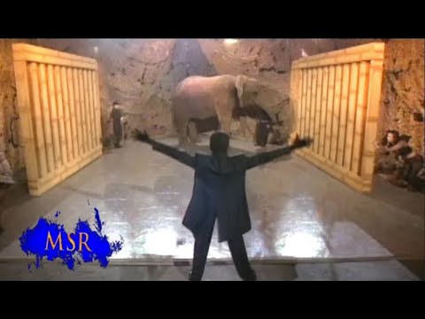 HOW TO MAKE A GIANT ELEPHANT VANISH!