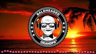 Sander van Doorn & LVNDSCAPE - Need To Feel Loved