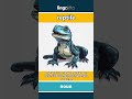 reptile (noun) - definition and usage in English