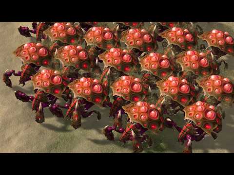 SWARM HOSTS Counter Sky Toss PERFECTLY - Reynor's New Strategy!