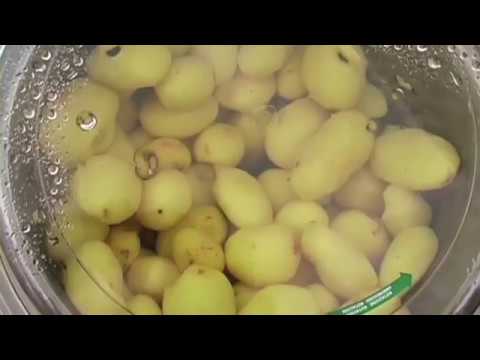 video 1, Épluche pomme de terre 60 Kg/H FIMAR