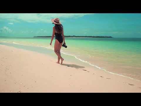 Blank & Jones feat. David Harks - Purple Sand