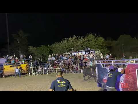 MOISÉS GARCÍA VS Magnánimo