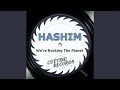 We're Rocking the Planet (Hashim Mix)