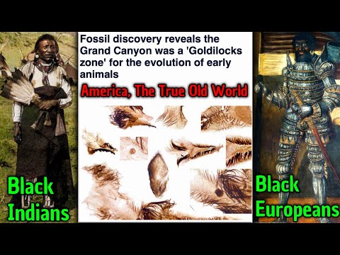 Black Indians / Black Europeans / Grand Canyon Was The Zone for Evolution Of Early Animals, Fossils