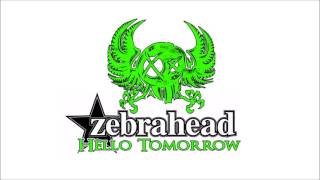 Zebrahead - Hello Tomorrow ( cover by Future Idiots )