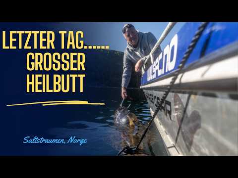 Auf Heilbutt-Jagd in Saltstraumen | Drei Freunde in Nordnorwegen