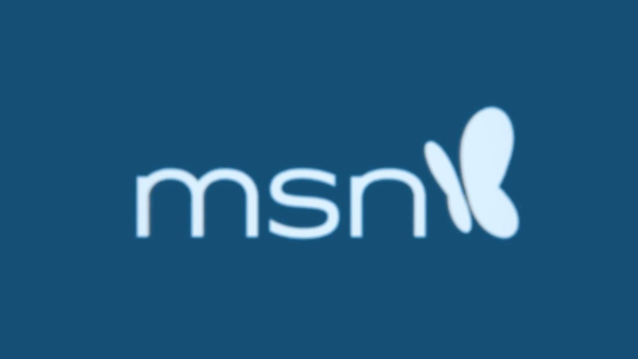 msn logo 2