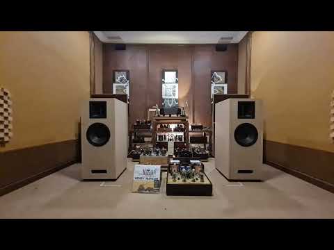 HATARI, IT IS TRUE  ANALOG SOUND OF WE- 300B.