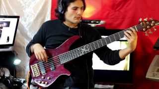 Haken - &quot;Portals&quot; (complete bass cover)