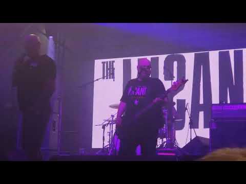 THE INSANE video