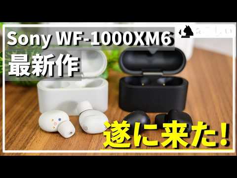[レビュー Sony WF-1000XM6 待望の最強完全ワイヤレスイヤホン]最高峰の音質、ノイズキャンセリング性能!自信をもっておすすめできる!! [ねこしぃの周