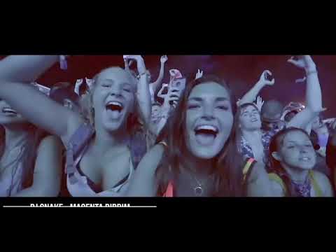 5 Minutes Of INSANE EDM Drops 2019