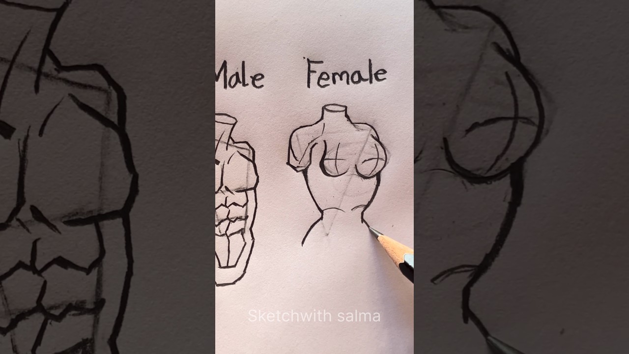 How to draw Torso #howtodraw #drawing #shorts #art #illustration #digitalart