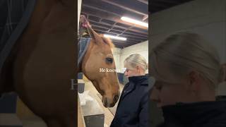 Her horse went to hug her ❤️