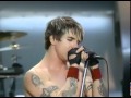 Red Hot Chili Peppers Californication Live At EMp JadeD NV