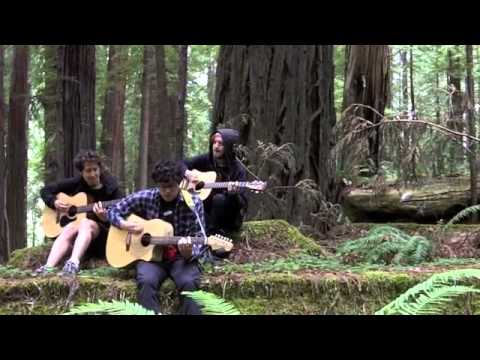 Spoonboy and ONSIND- Call Me Maybe (Live at Redwood National Forest)