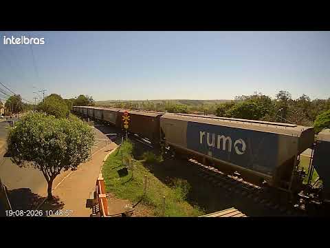 Dupla de ES44ACI Arauco no vazio em Santa Ernestina sp 