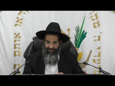 צוואה - כו' 📜 הנהגות לעילוי נשמת | הרב שי עובד | שני - פרשת נח - תשפה