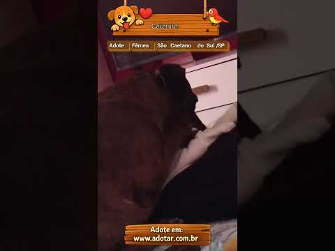Vídeo de Catarina 