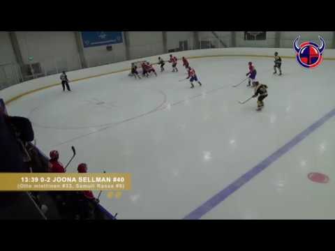 Viikingit   Wolf 27.01.2017 Ottelukooste