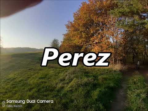 PEREZ as a family name   its meaning and origin