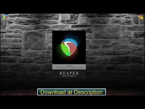 REAPER 6.19
