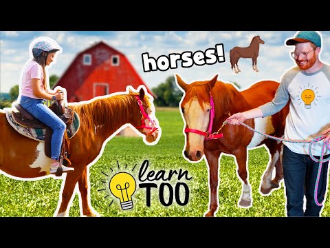 Horseback Riding 🐎 | Learn About Horses for Kids | Ride Horses on the Farm | Educational for Kids