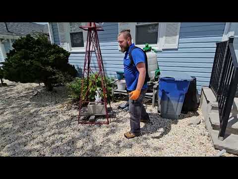 Taking Care of the Ants Outside of the Home...