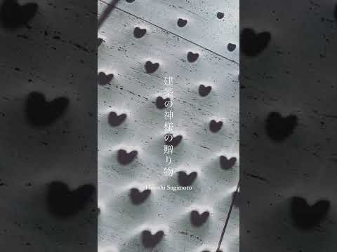 mur-végétal-intérieur-plantes-vertes-meubles-design