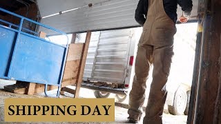 How We Market Our Lambs (SHIPPING DAY!): Vlog 139