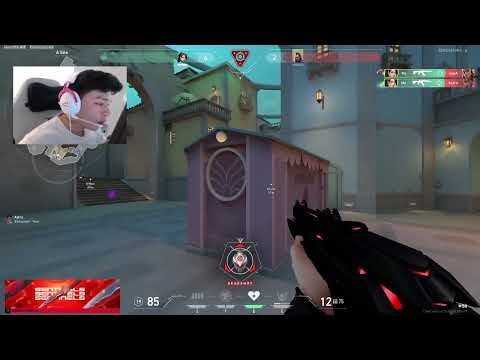 PANCADA DOESN'T MISS A SHOT!! 😮😮😮