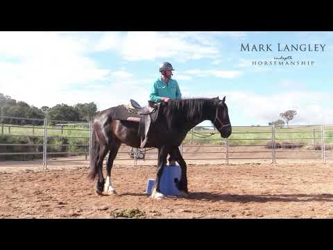 How to help your horse stand at the Mounting Block
