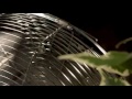 Vidéo