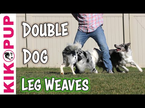 What is Clicker Training