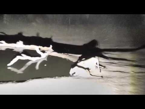 Djuma: Six lions: 2 Nkuhuma females, 3 Mhangeni and 1 young male - 01:45 - 11/05/18