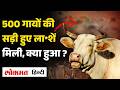 Jaisalmer News कचरे के ढेर से क्यों मिली 500 से ज्�