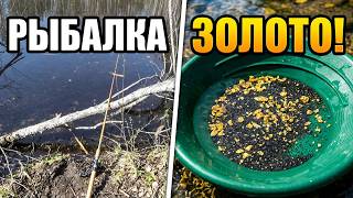 Случайно нашёл золотую россыпь в реке!