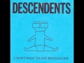 Descendents - Red (Green)