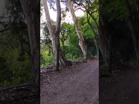 DICAS IMPORTANTES PARA QUEM VAI VISITAR A CASCATA EM NOVA ROMA DO SUL