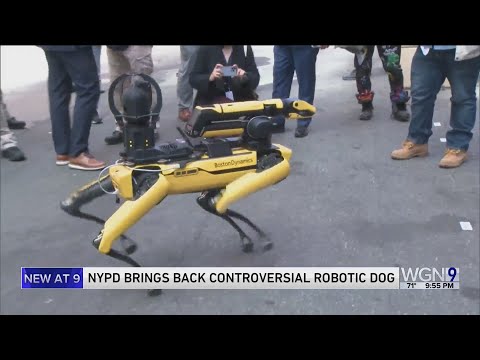 RoboCop? No, RoboDog: Robotic dog rejoins New York police